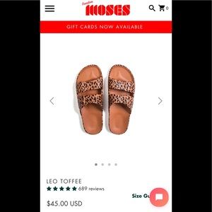 Freedom Moses Slides